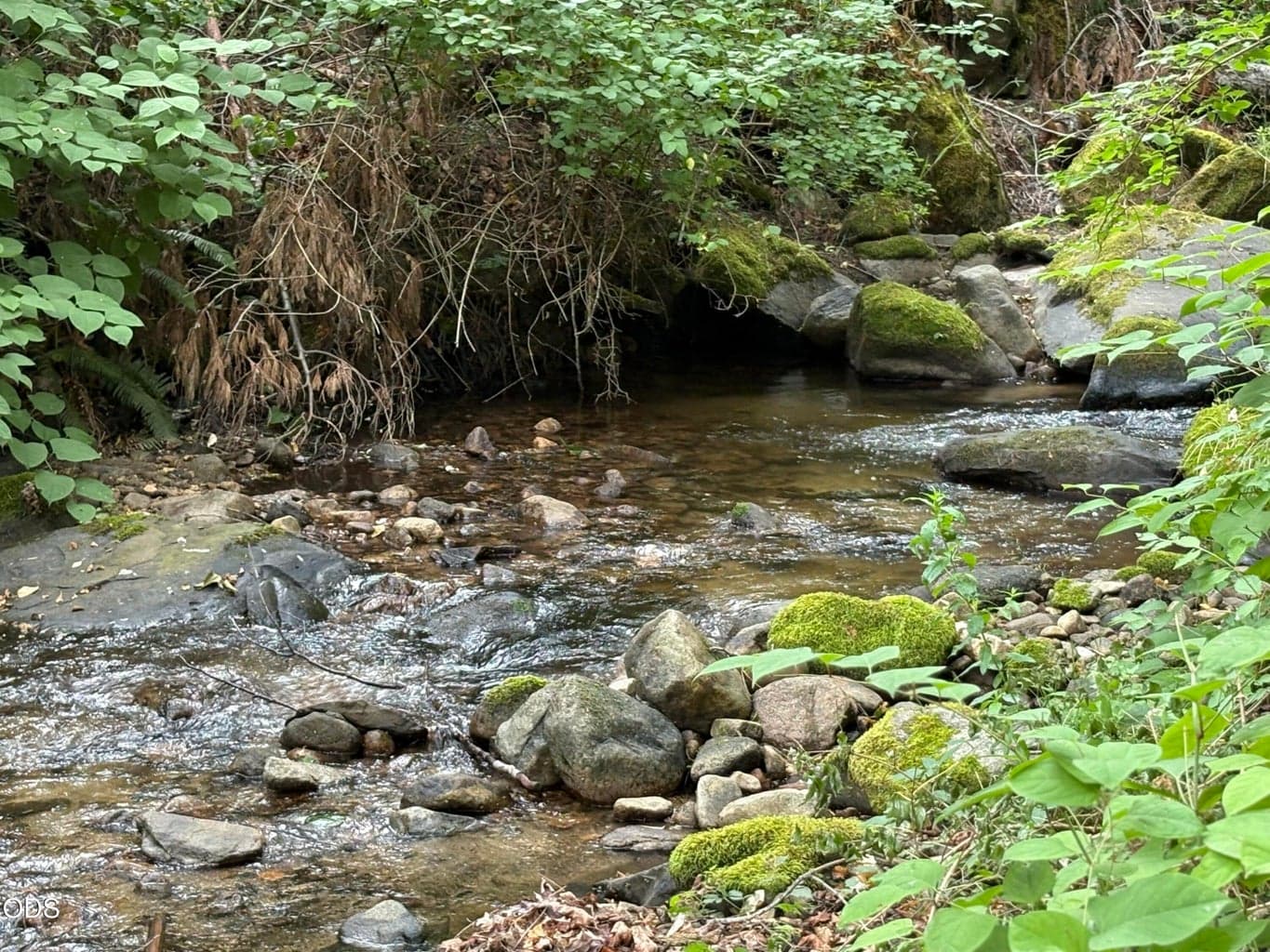 Photo of 1600 Neil Creek 4 of 9