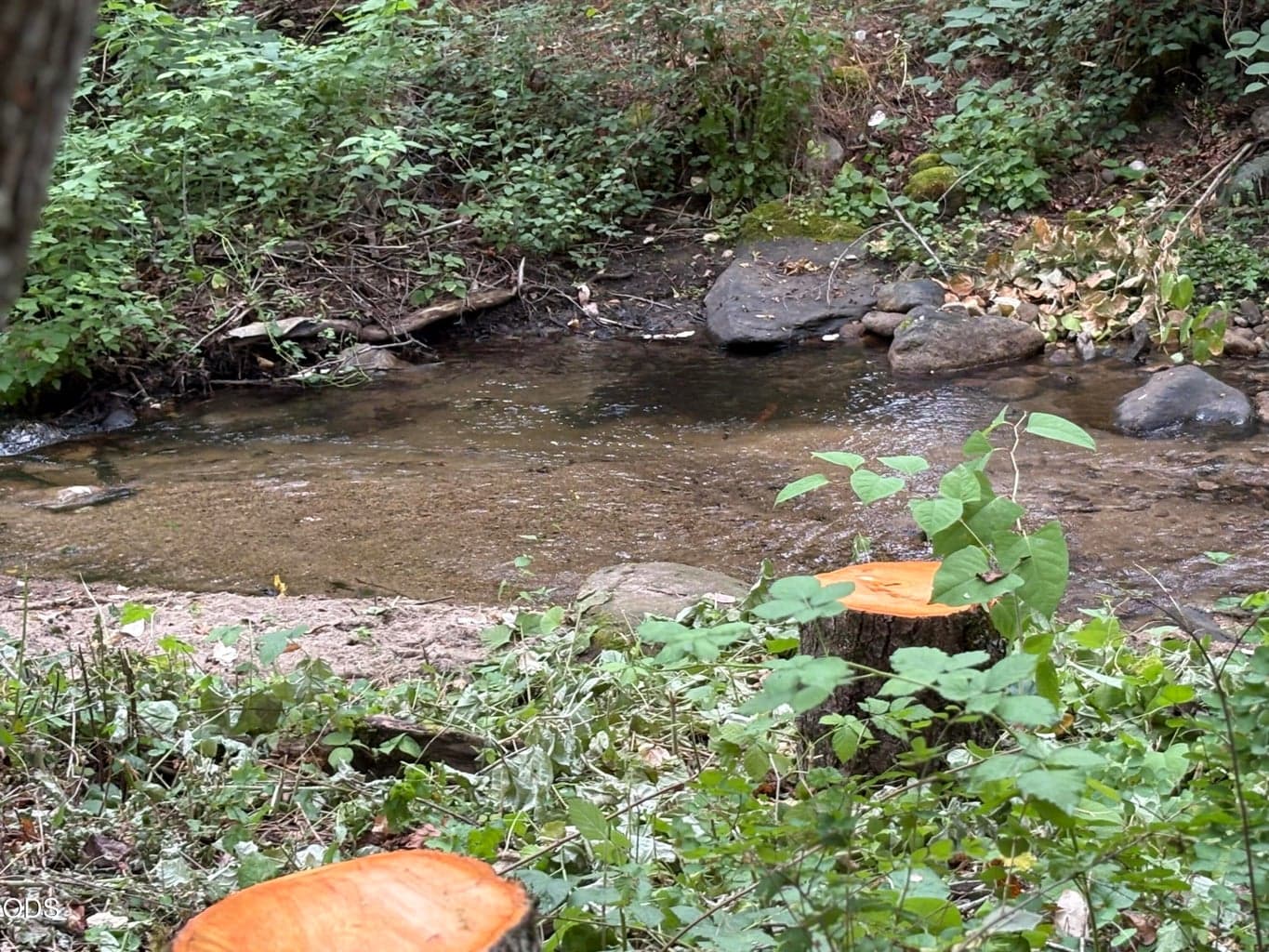 Photo of 1600 Neil Creek 5 of 9