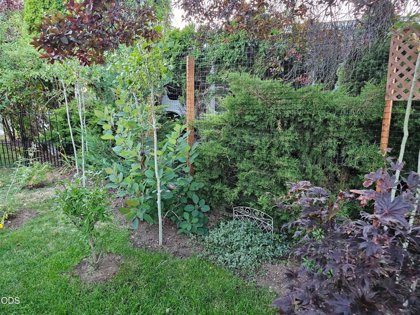 Photo of 1001 SE 15th Street 30 of 52