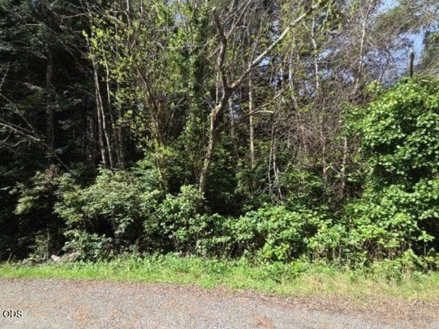 Photo of VACANT LAND ON CROWN POINT 2 of 5