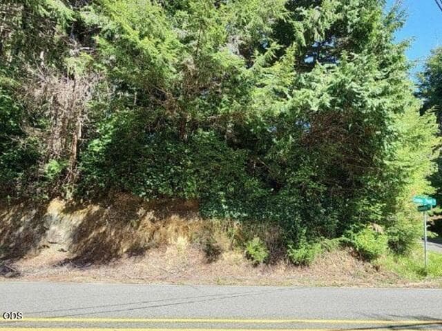 Photo of VACANT LAND ON CROWN POINT 4 of 5