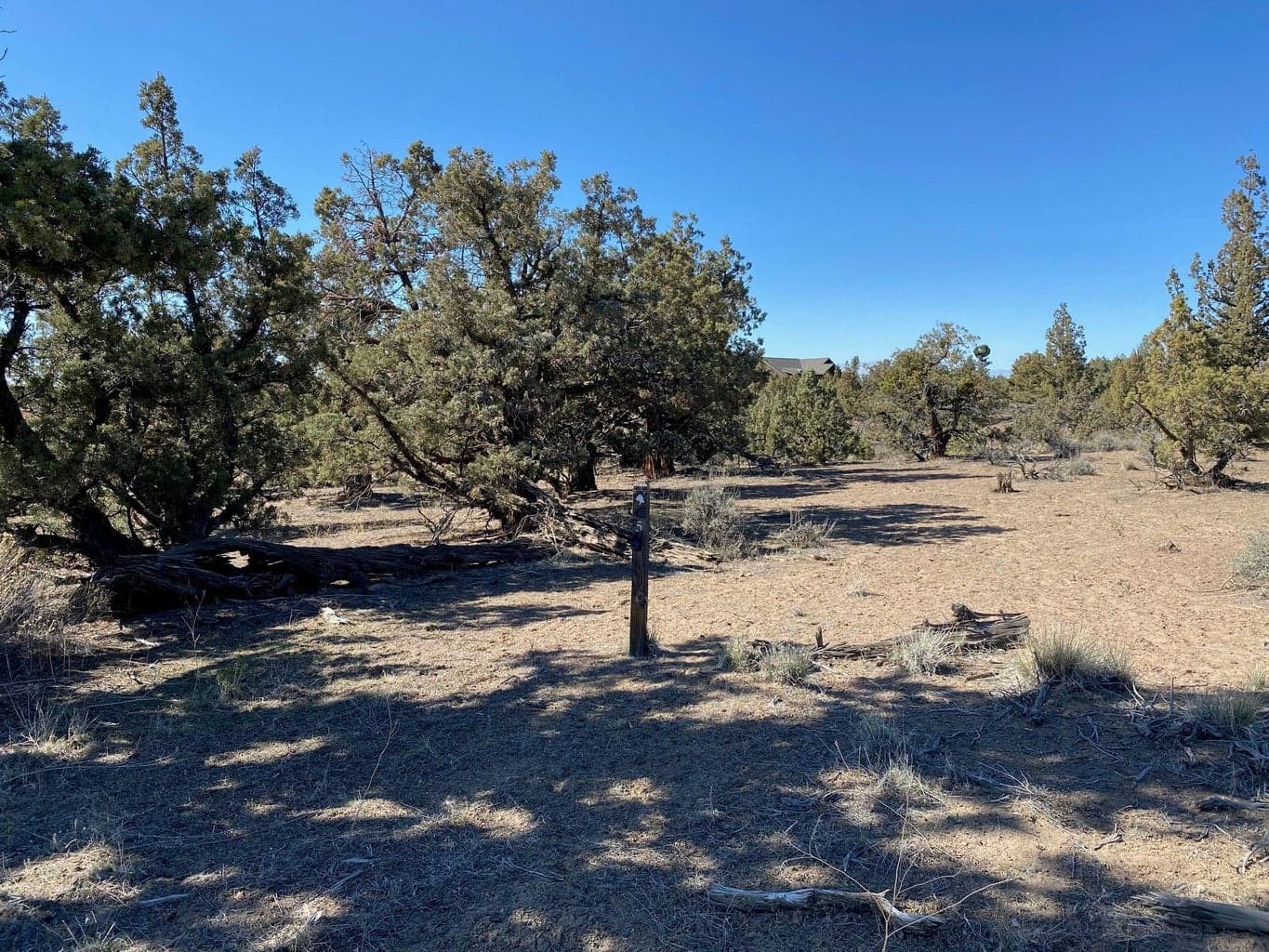 Photo of Vaqueros 5 of 16