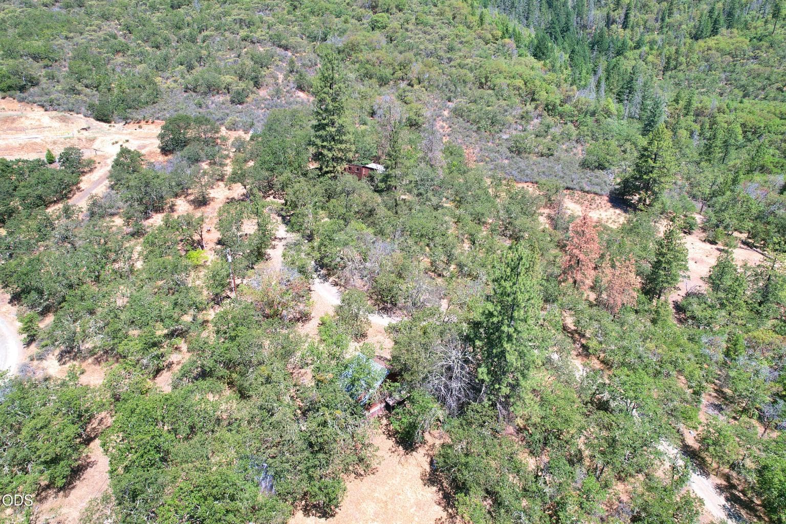 Photo of 812 Left Fork Humbug Creek 3 of 61
