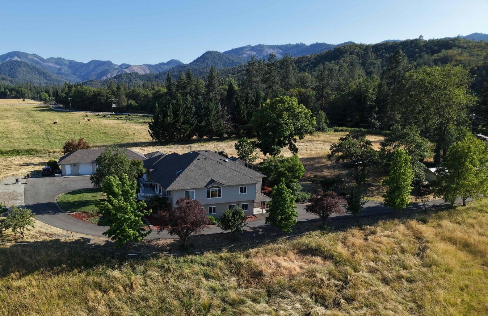 Photo of 295 Foots Creek 3 of 33