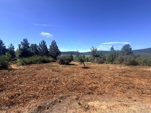 Photo of Crossbill Drive 1 of 12