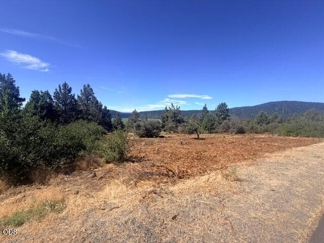 Photo of Crossbill Drive 2 of 12