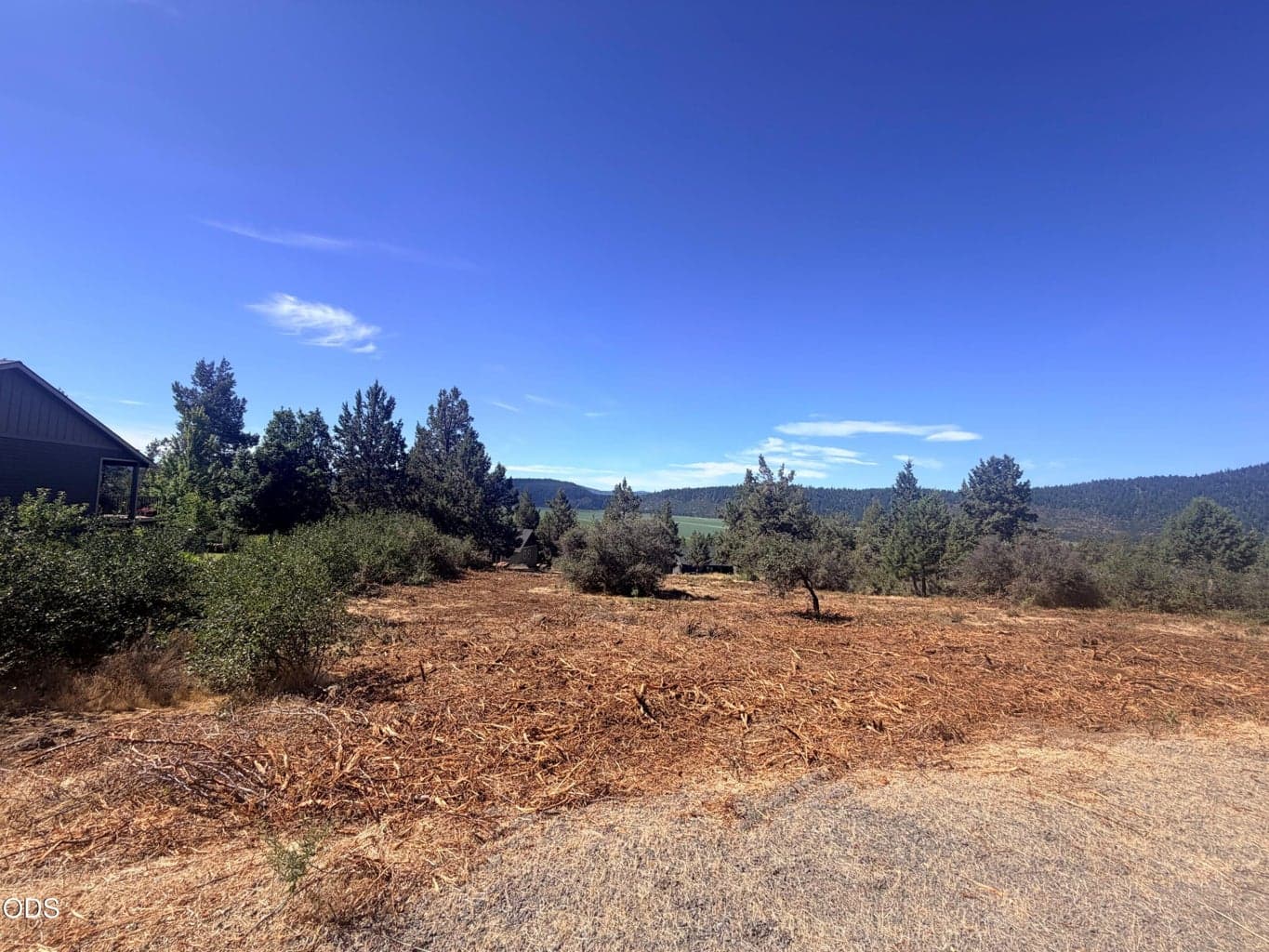 Photo of Crossbill Drive 3 of 12