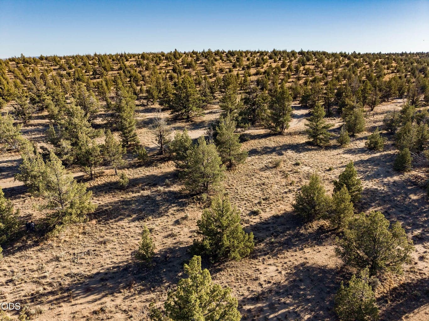 Photo of Zuni 3 of 20