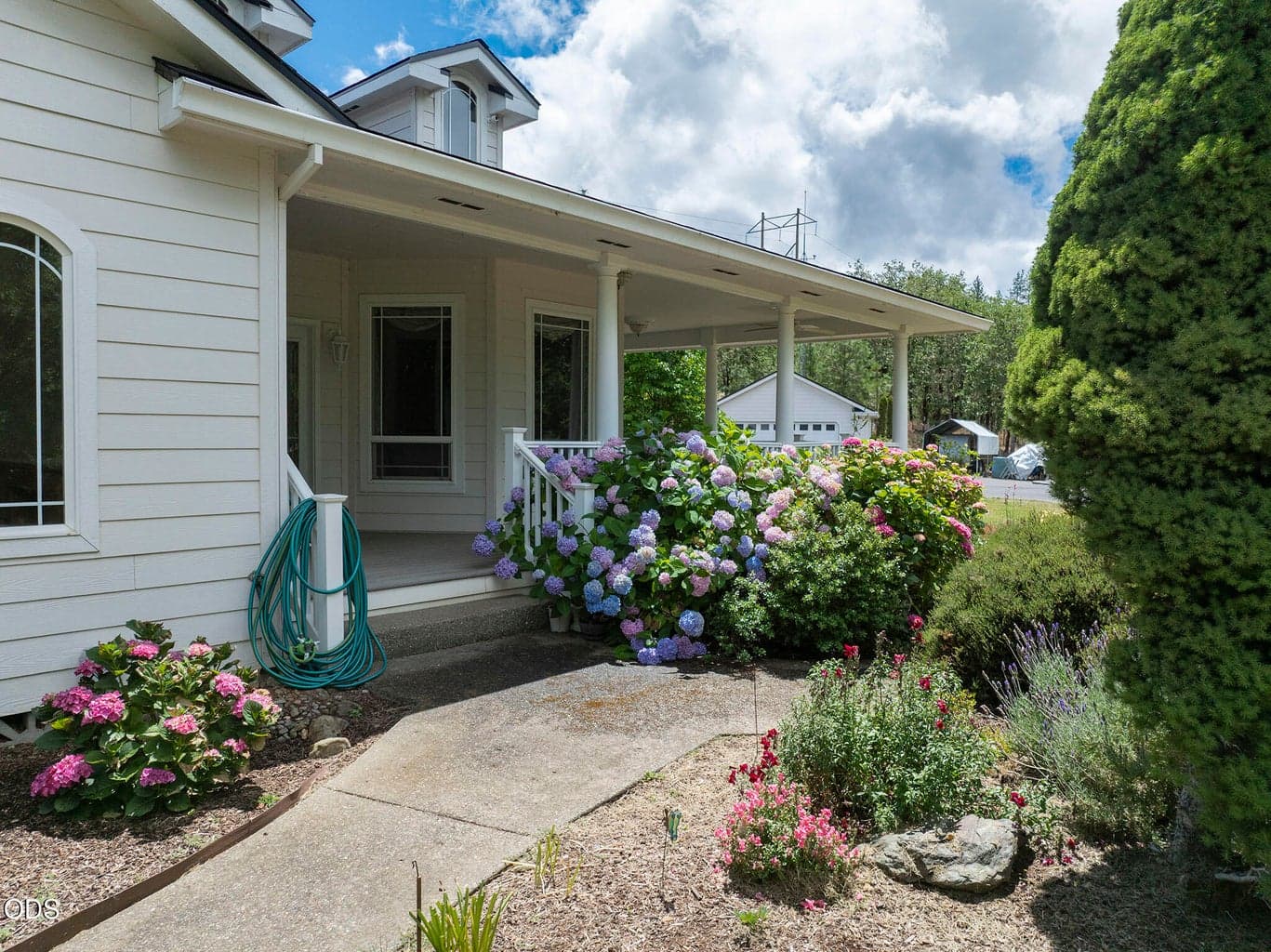 Photo of 279 Ridgefield 4 of 62