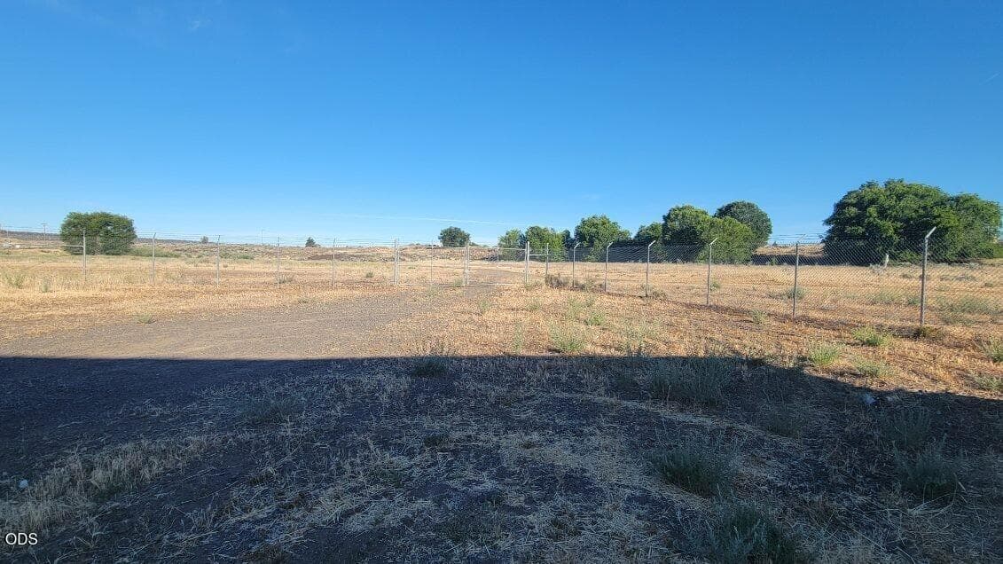 Photo of Lamonta 1 of 15