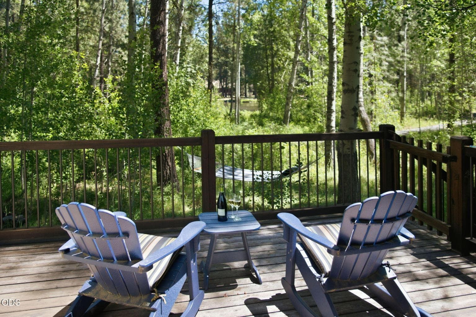 Back Deck Lake View