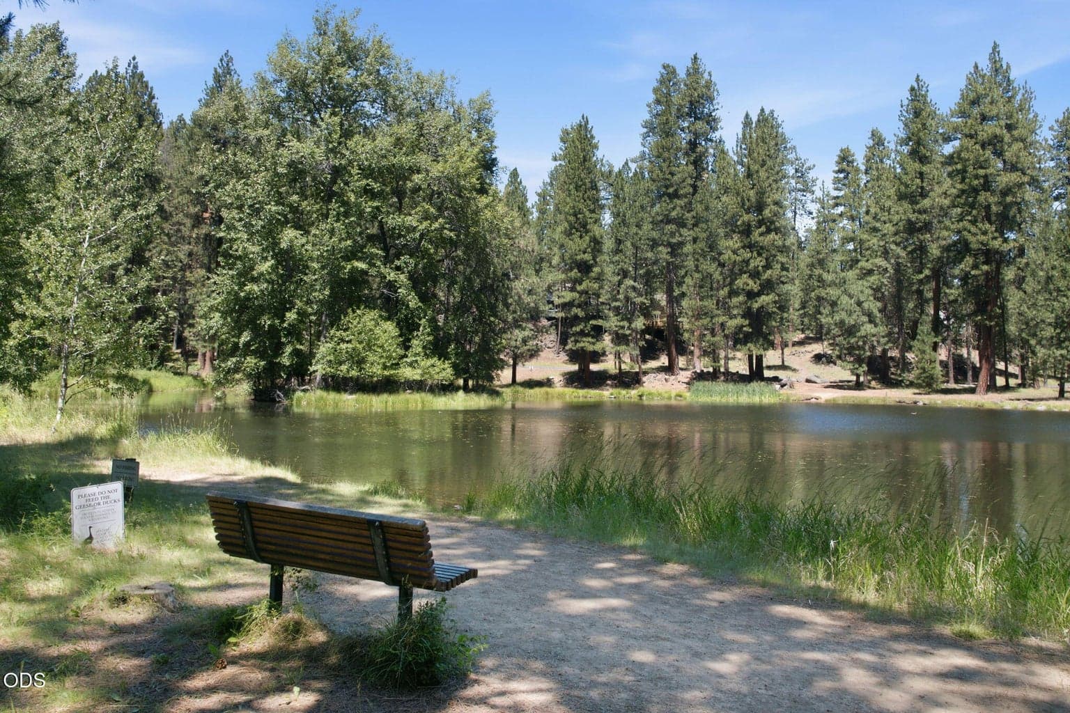 Aspen Lake Just Beyond Back Yard