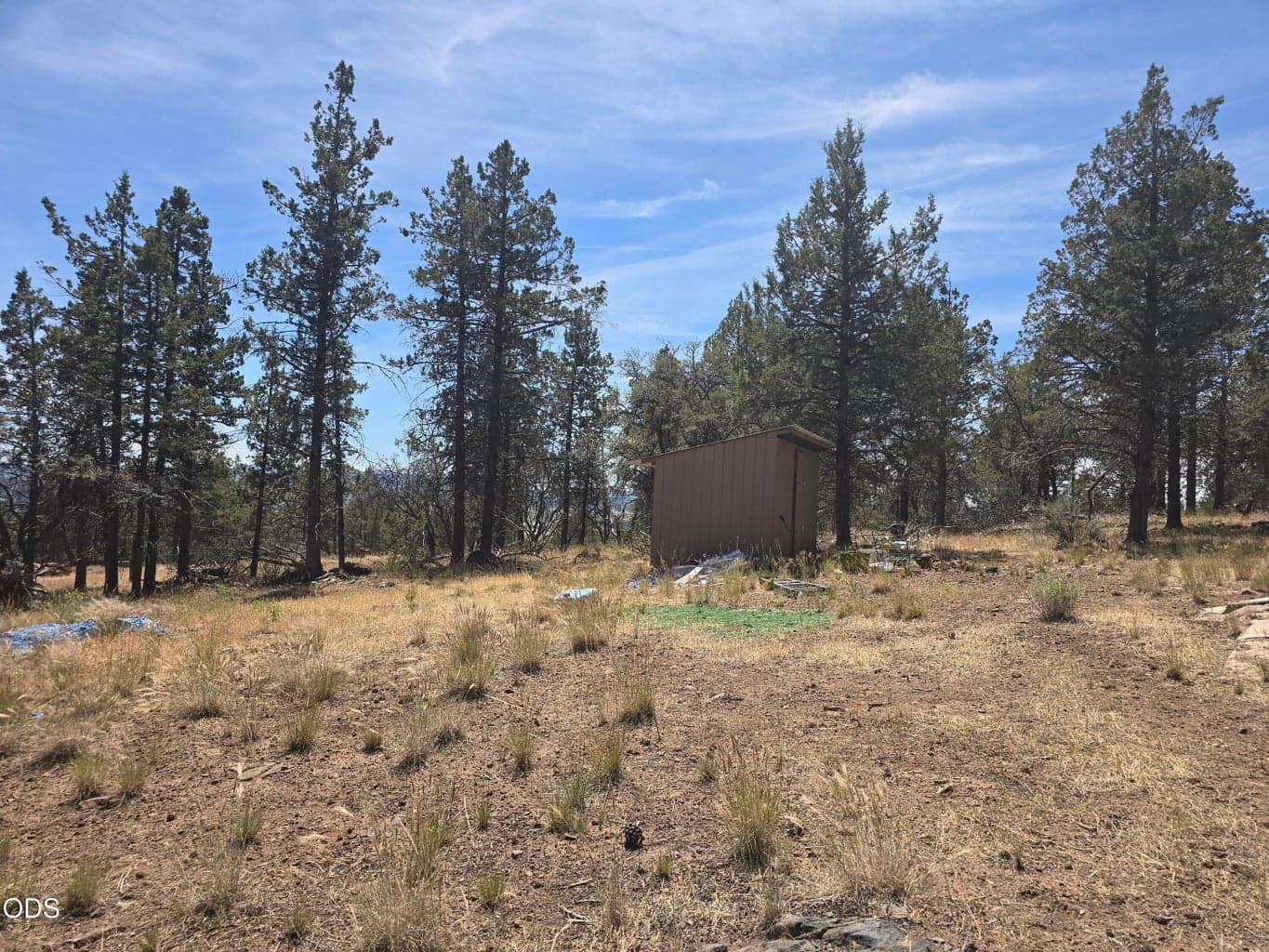 Photo of 11436 Wildhorse 2 of 15