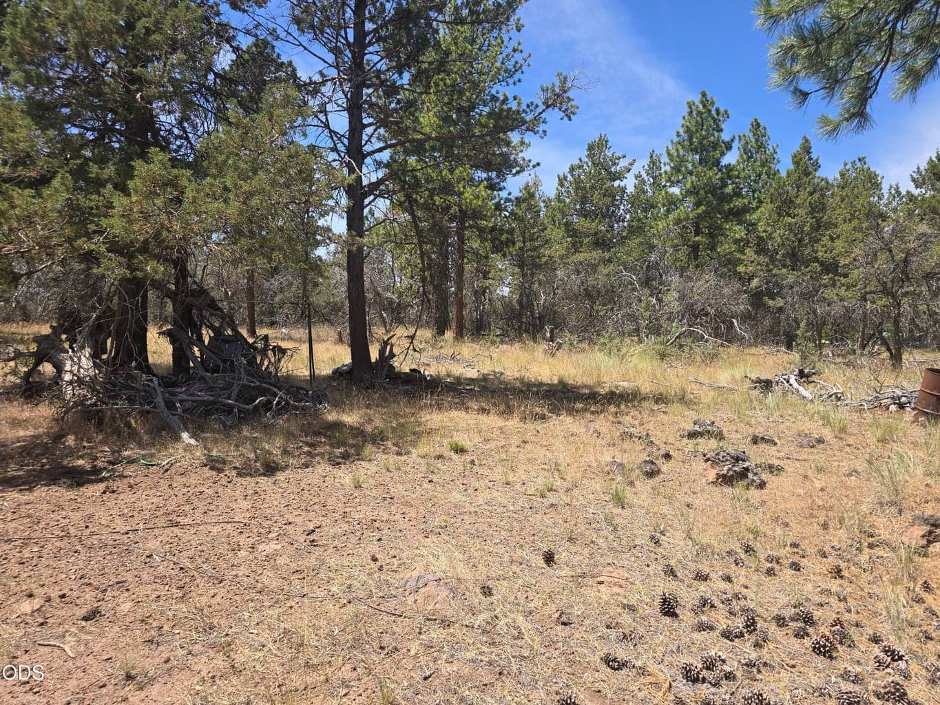 Photo of 11436 Wildhorse 4 of 15