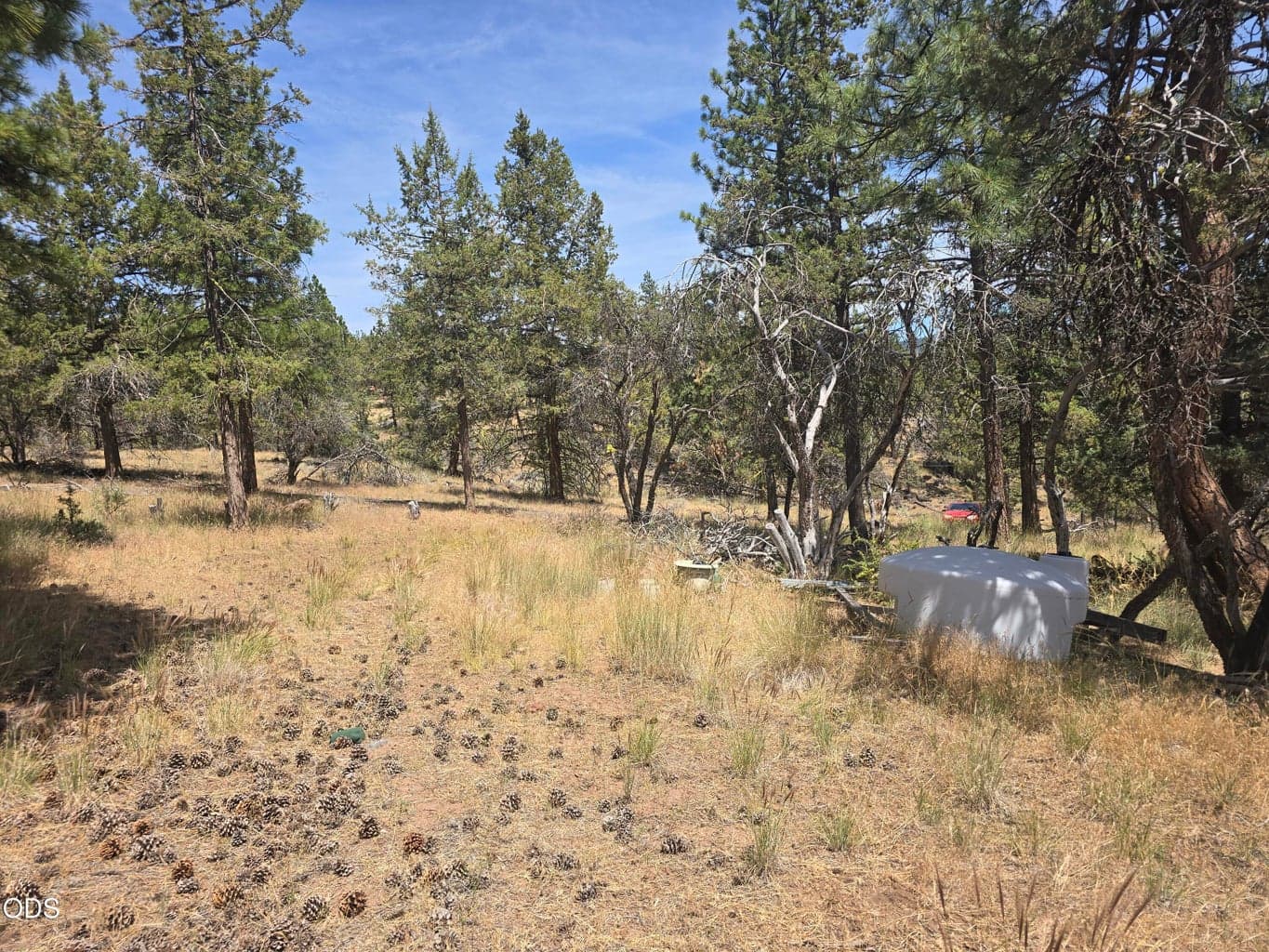 Photo of 11436 Wildhorse 5 of 15