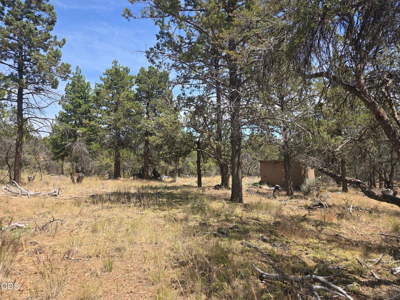 Photo of 11436 Wildhorse 1 of 15