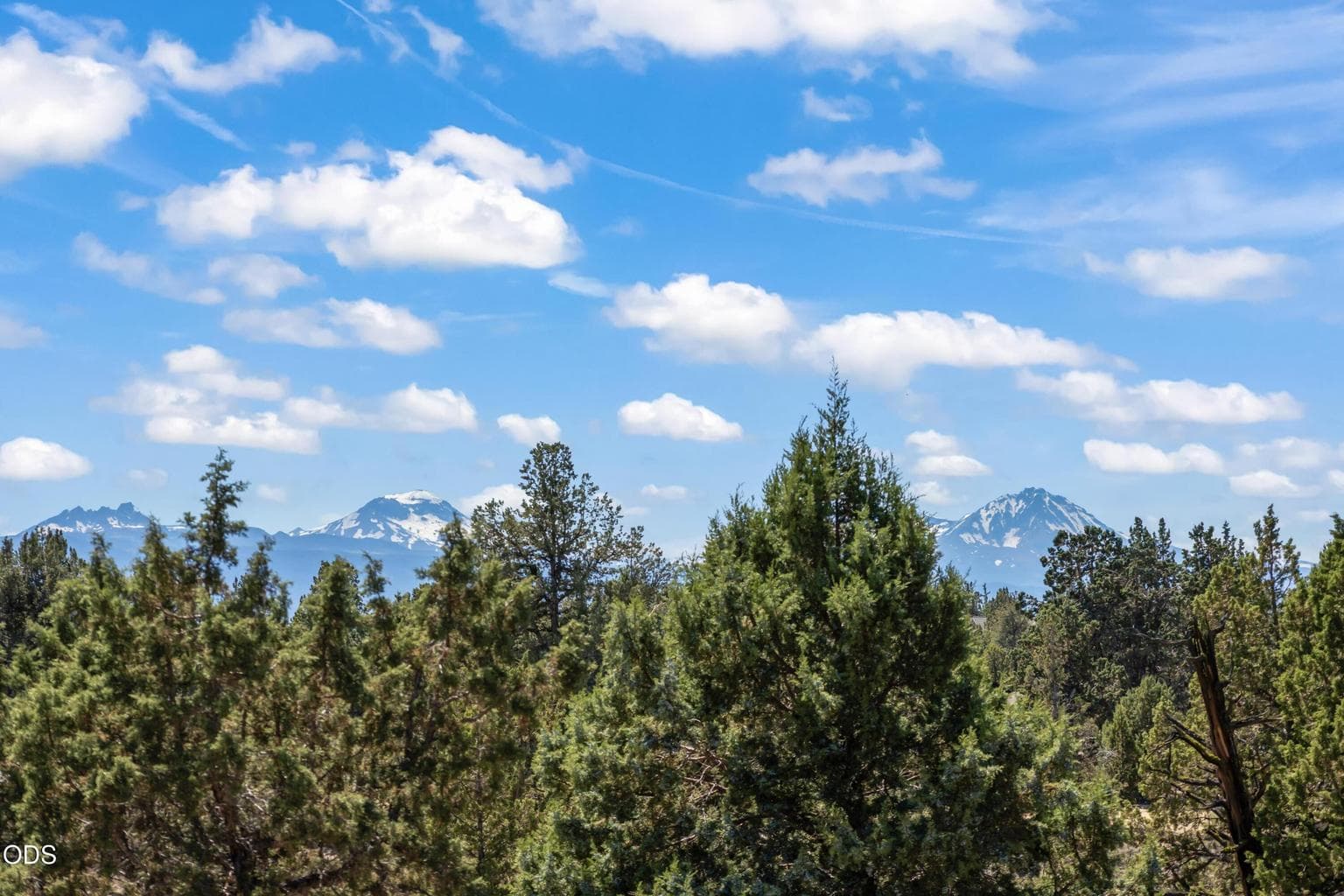 Mountain views from the back deck