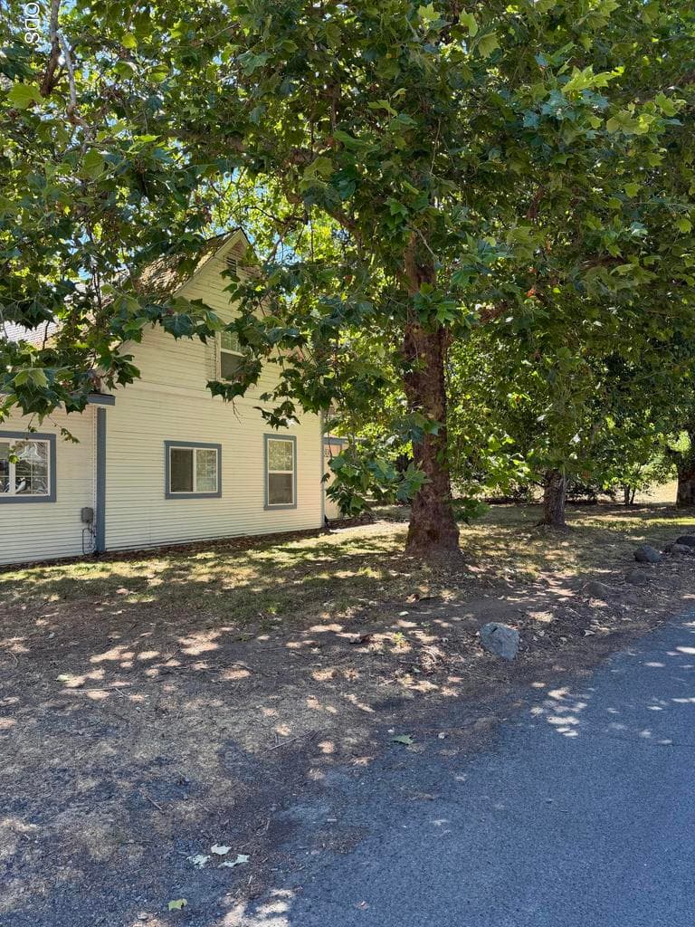 Photo of 149 Peckerwood 1 of 1