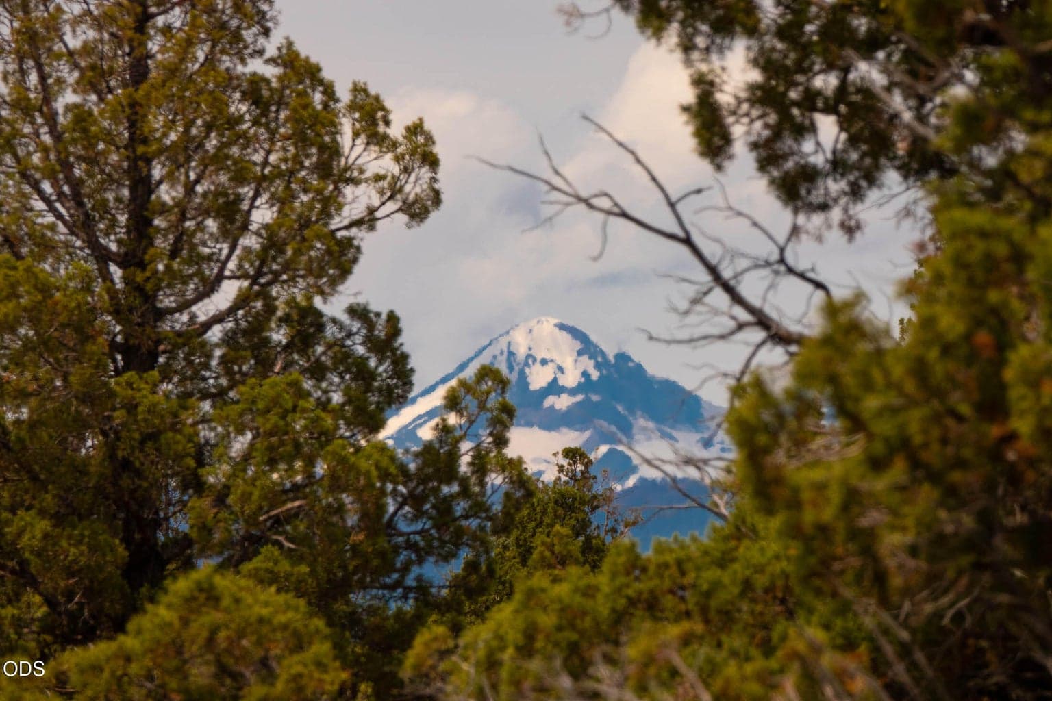 Mountain views from back of the property. Great building spot.