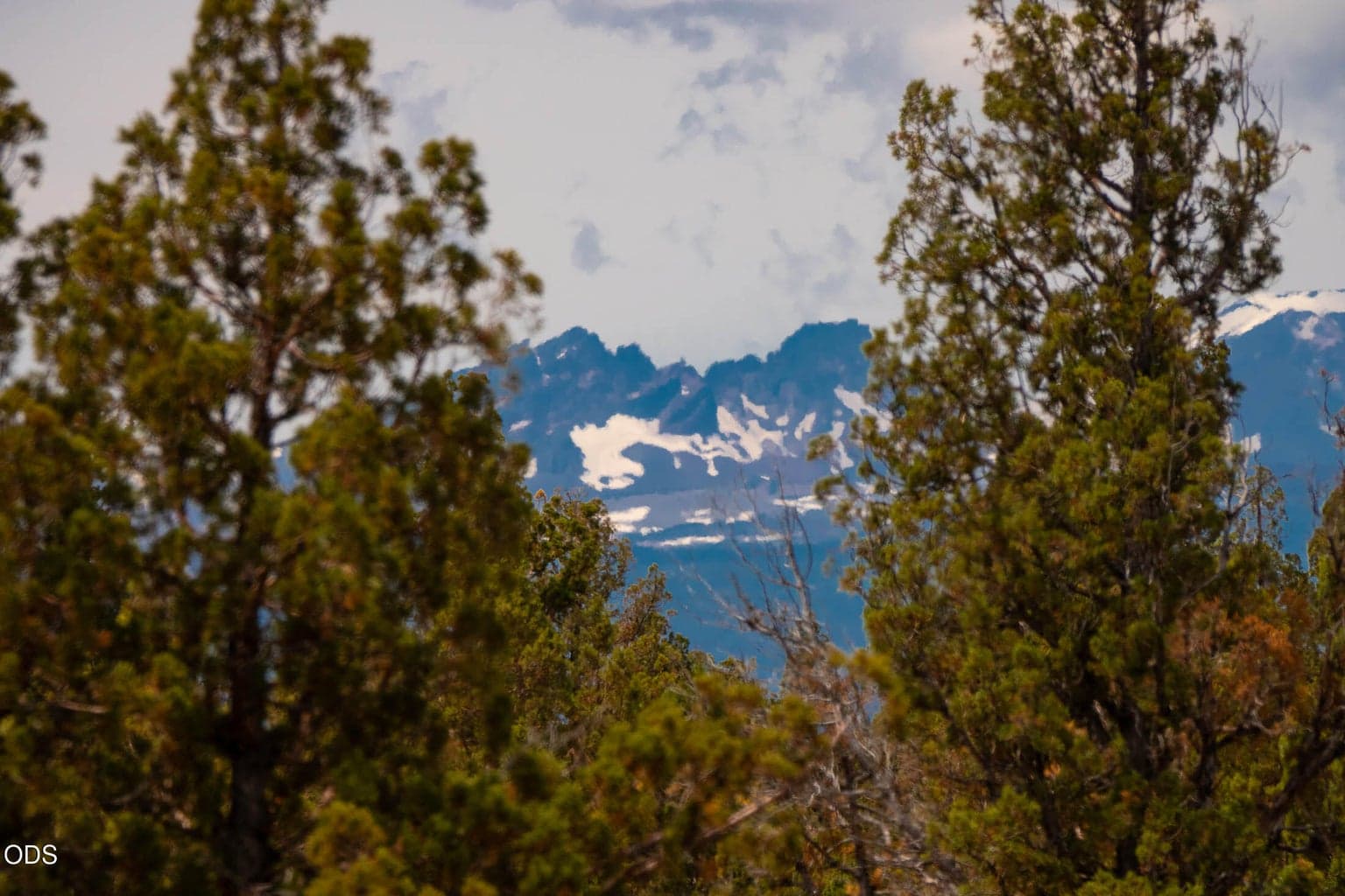 Possible building site would allow for incredible views.