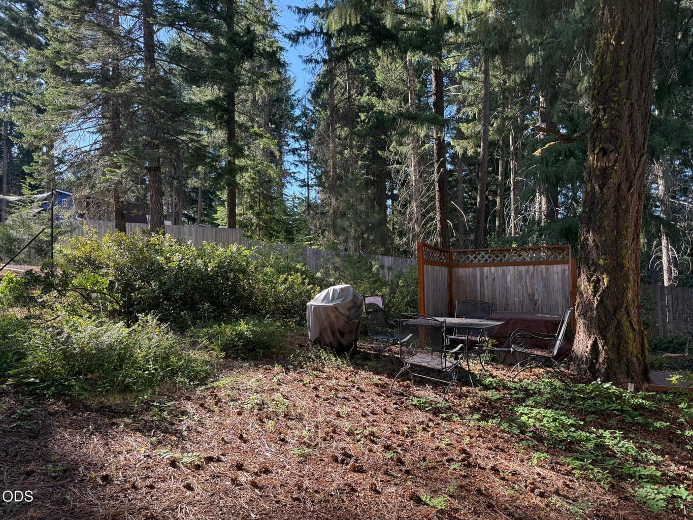Photo of 22510 Fir 4 of 20