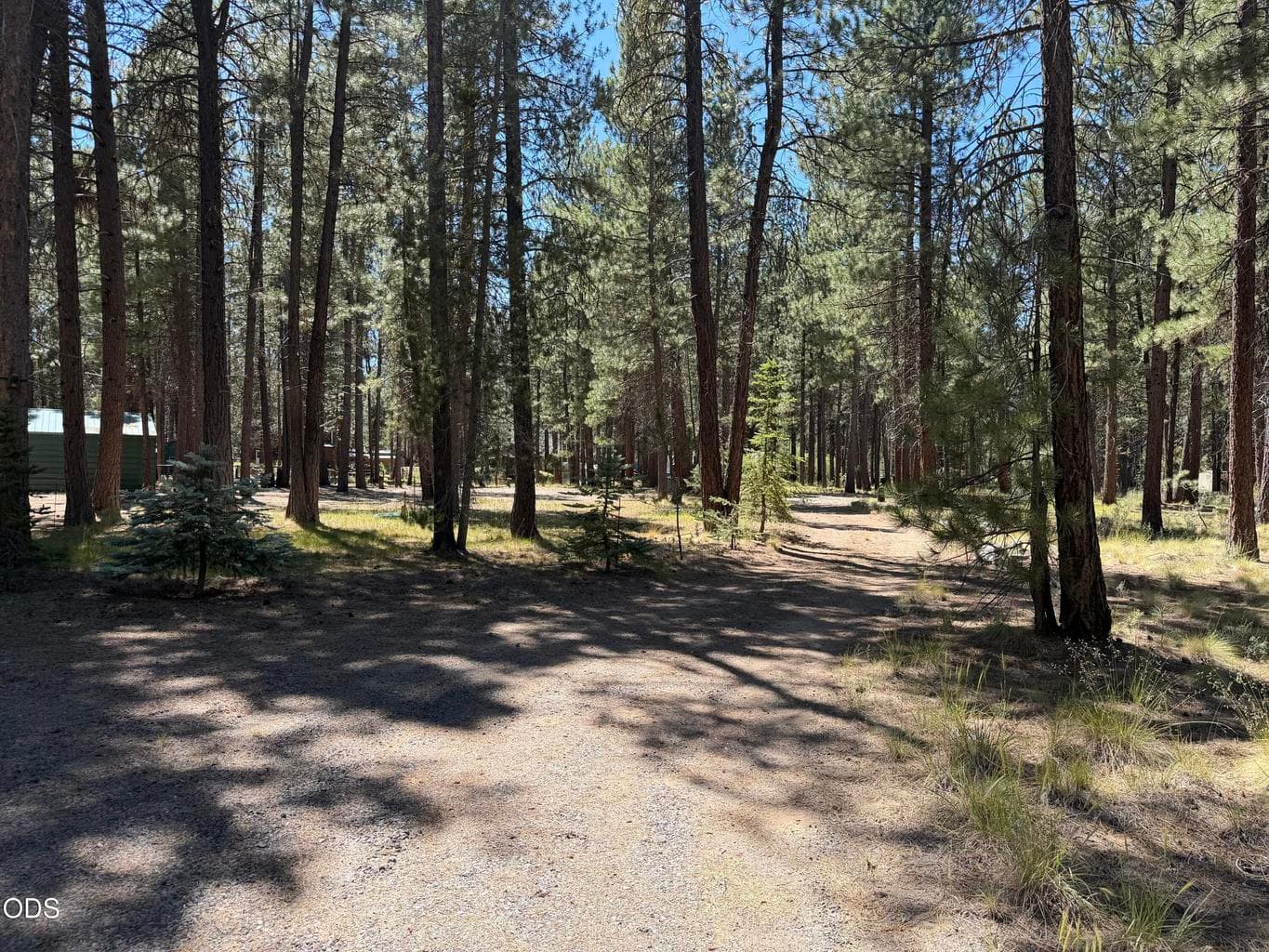 Photo of 16160 Mountain Sheep Lane 29 of 41