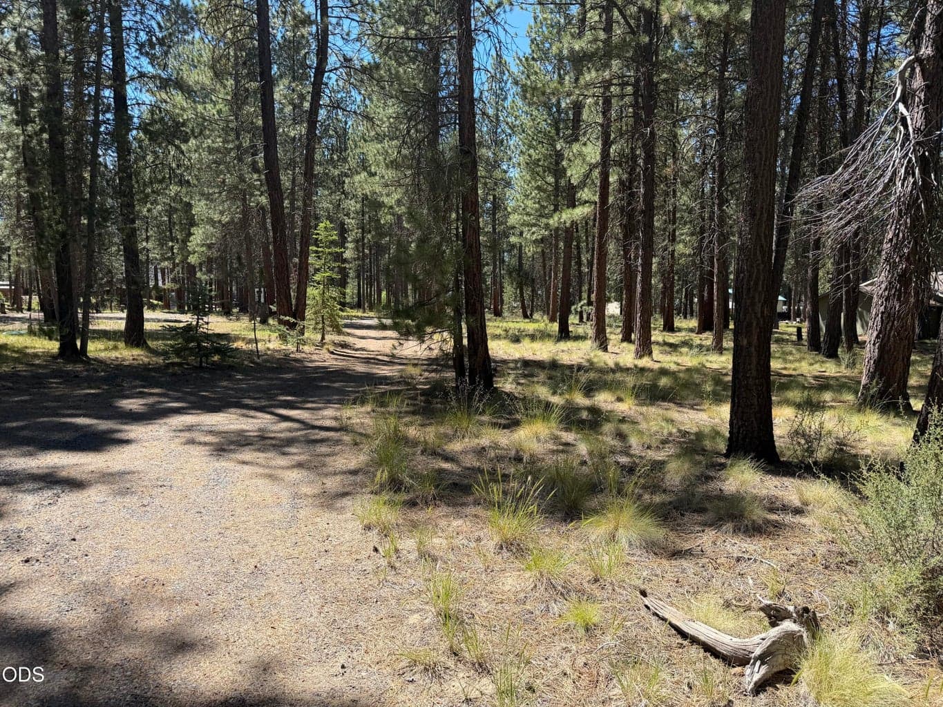 Photo of 16160 Mountain Sheep Lane 30 of 41
