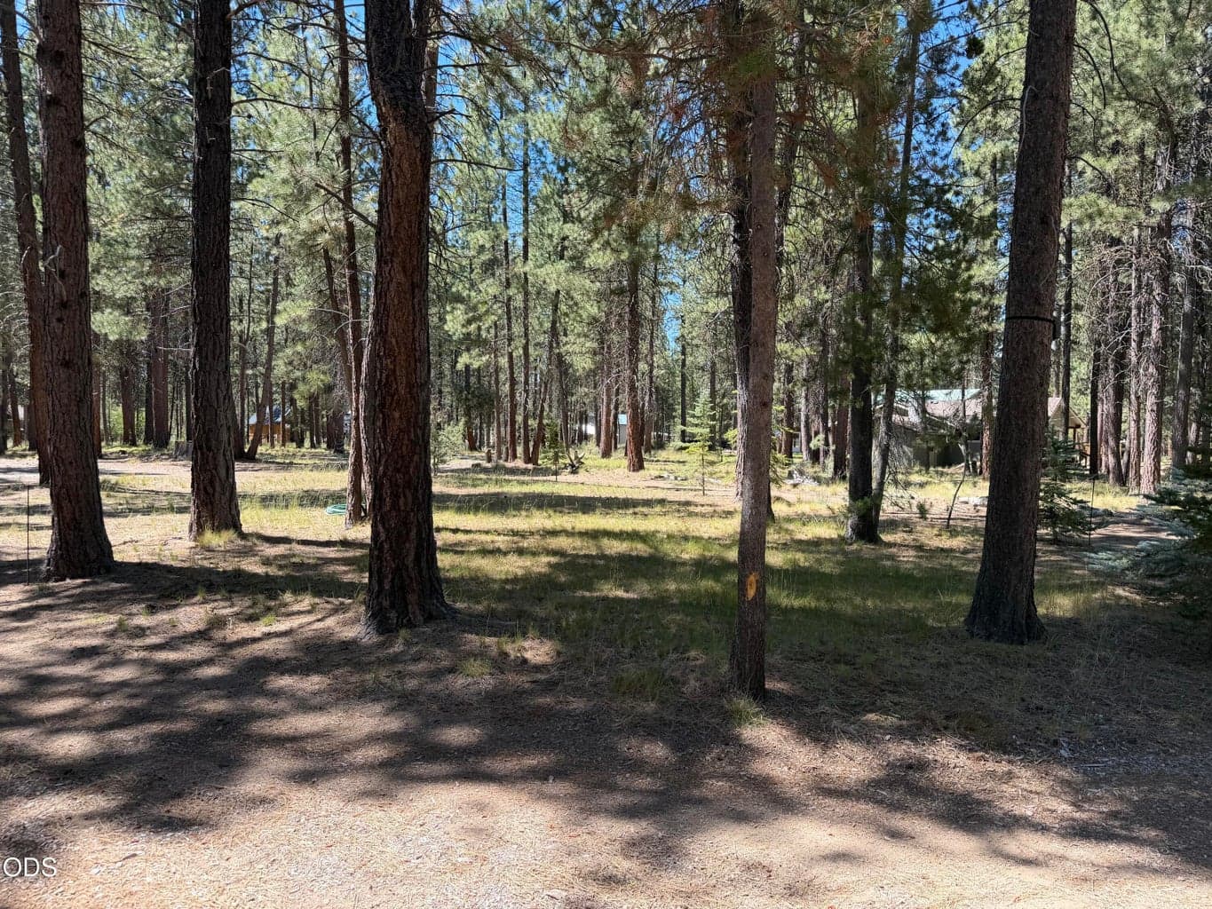 Photo of 16160 Mountain Sheep Lane 31 of 41