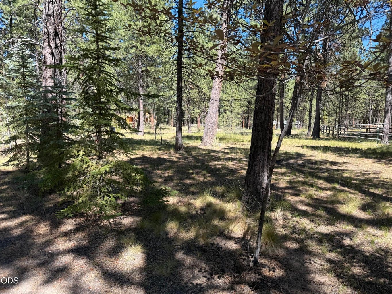 Photo of 16160 Mountain Sheep Lane 32 of 41