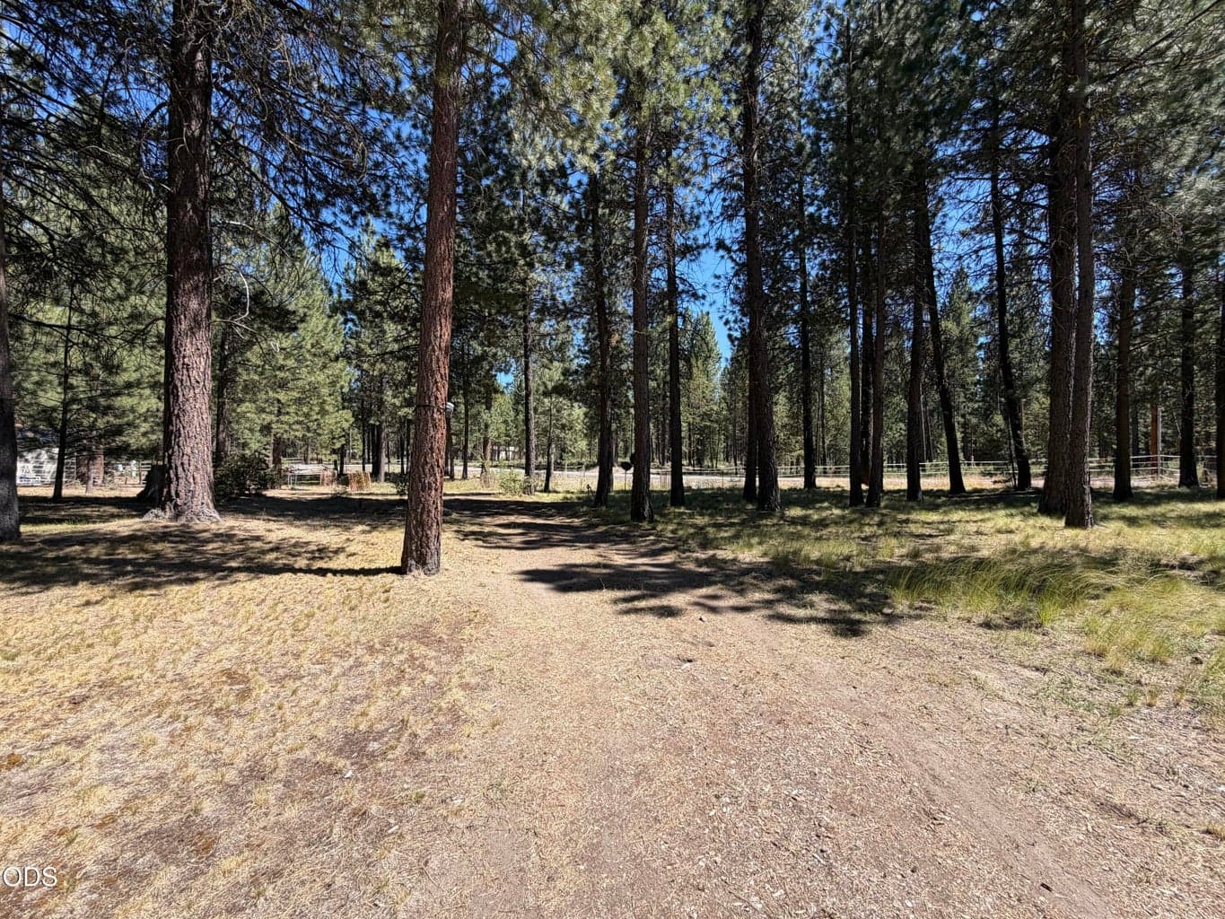 Photo of 16160 Mountain Sheep Lane 34 of 41