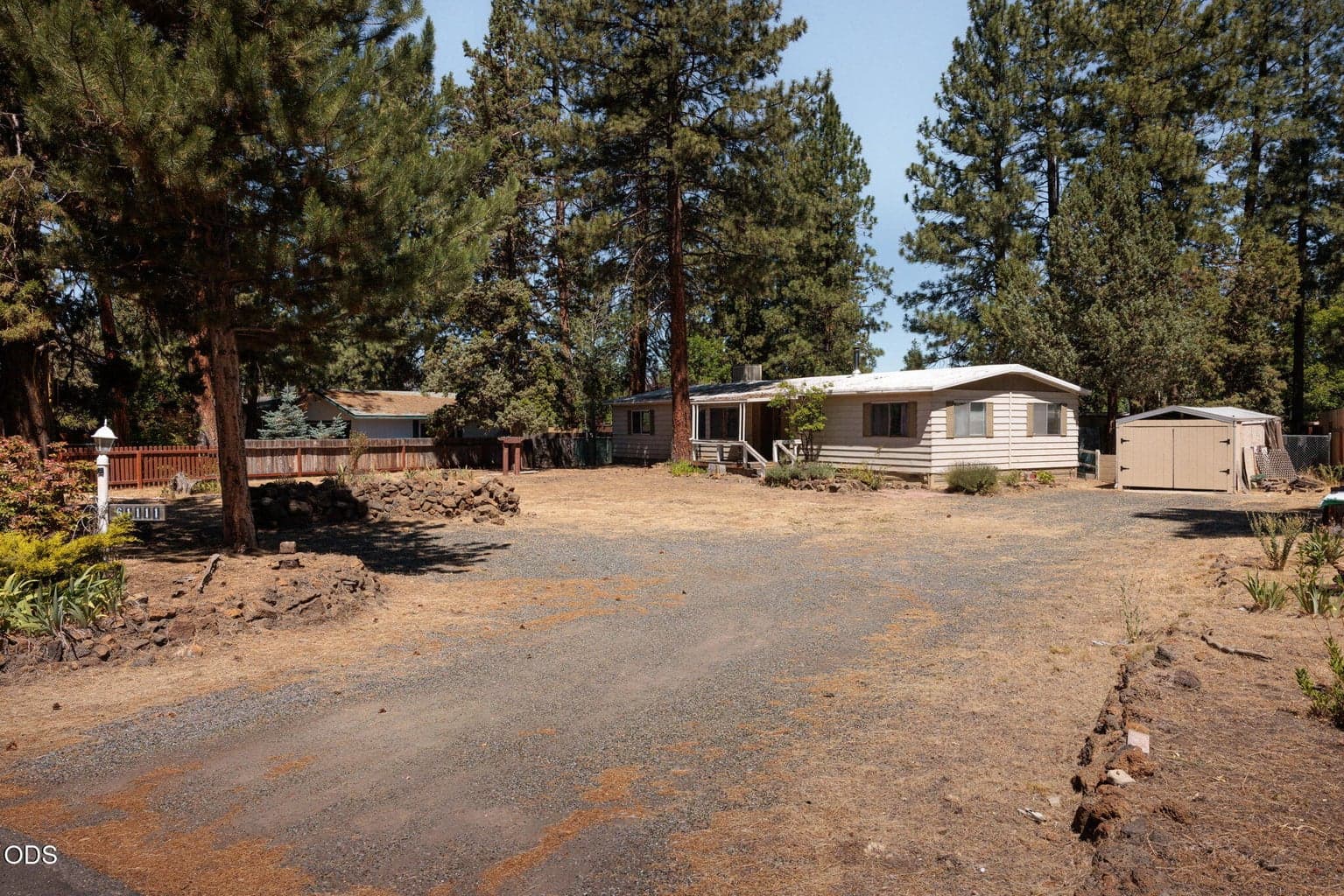 Photo of 61111 Chuckanut 1 of 27
