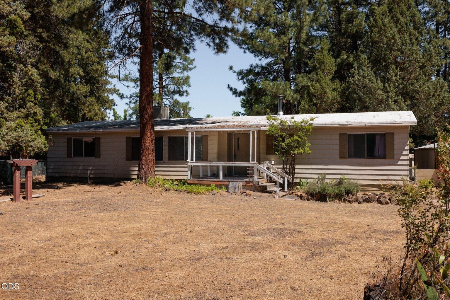 Photo of 61111 Chuckanut 2 of 27
