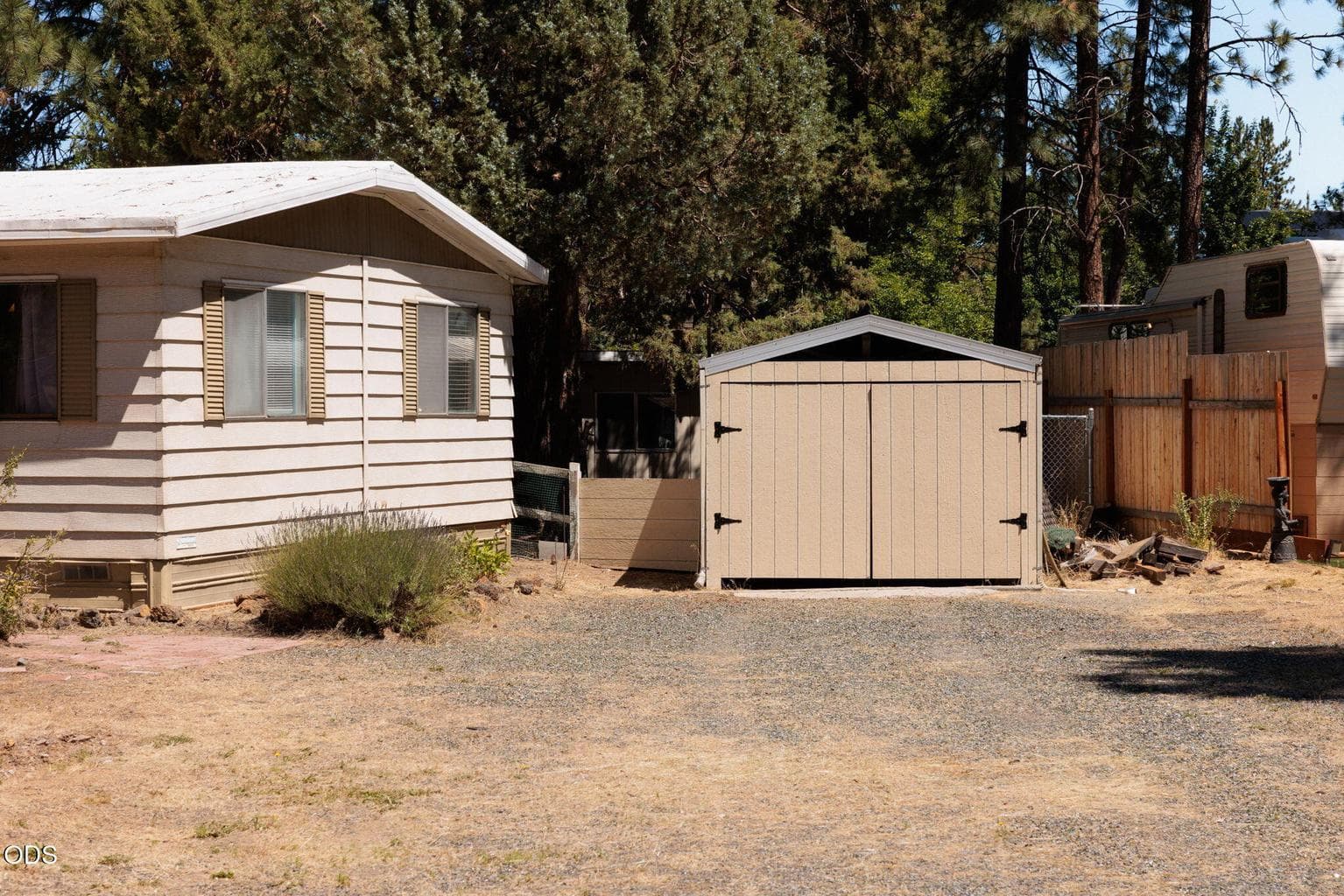 Photo of 61111 Chuckanut 3 of 27
