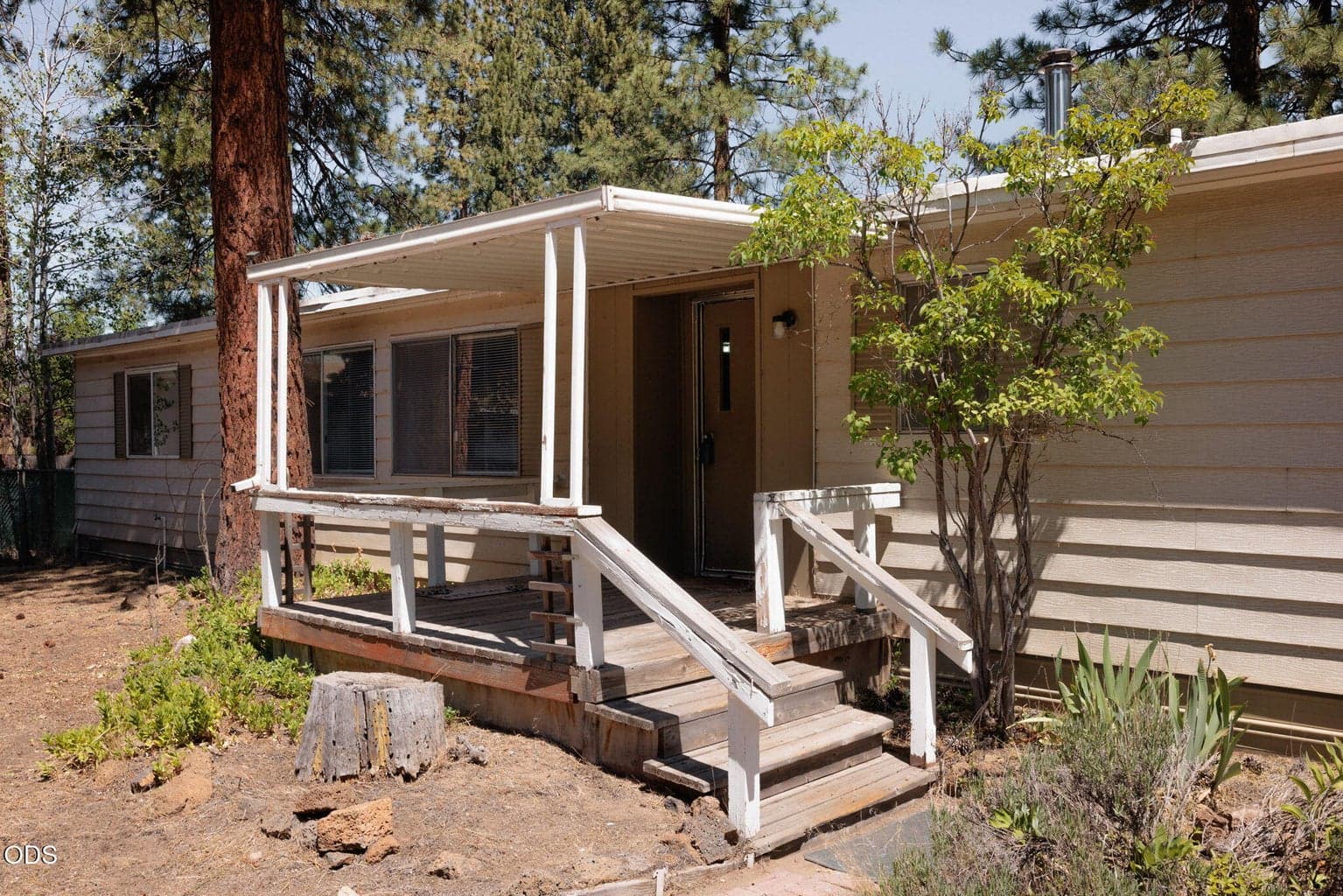 Photo of 61111 Chuckanut 4 of 27