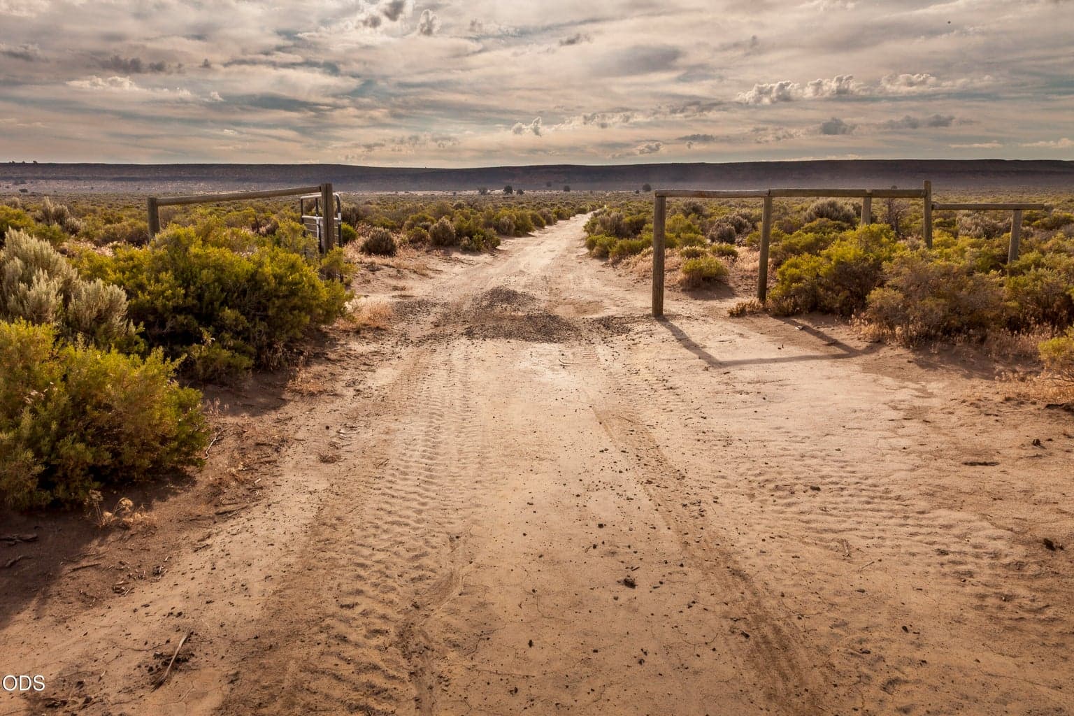 Shared road in from Buffalo Wells Road (look east).