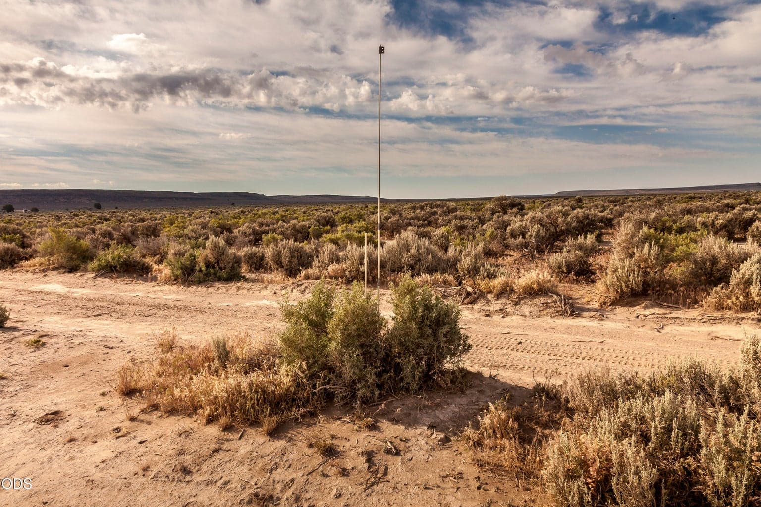 Northwest corner of the parcel (approximate) looking SE.
