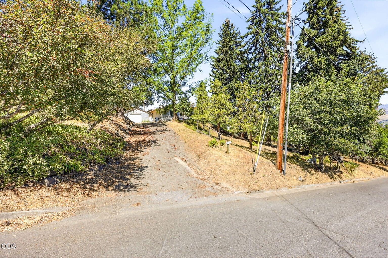 View from street at top of parcel