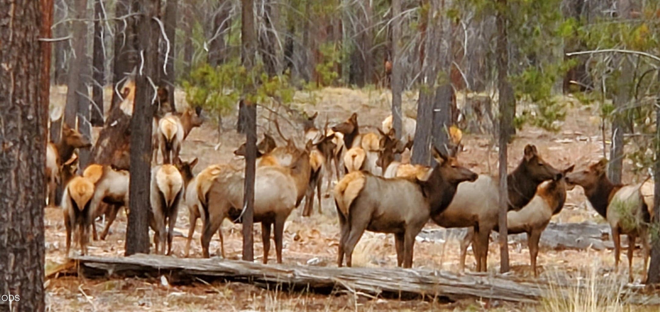 Photo of 55618 Snow Goose Road 22 of 22