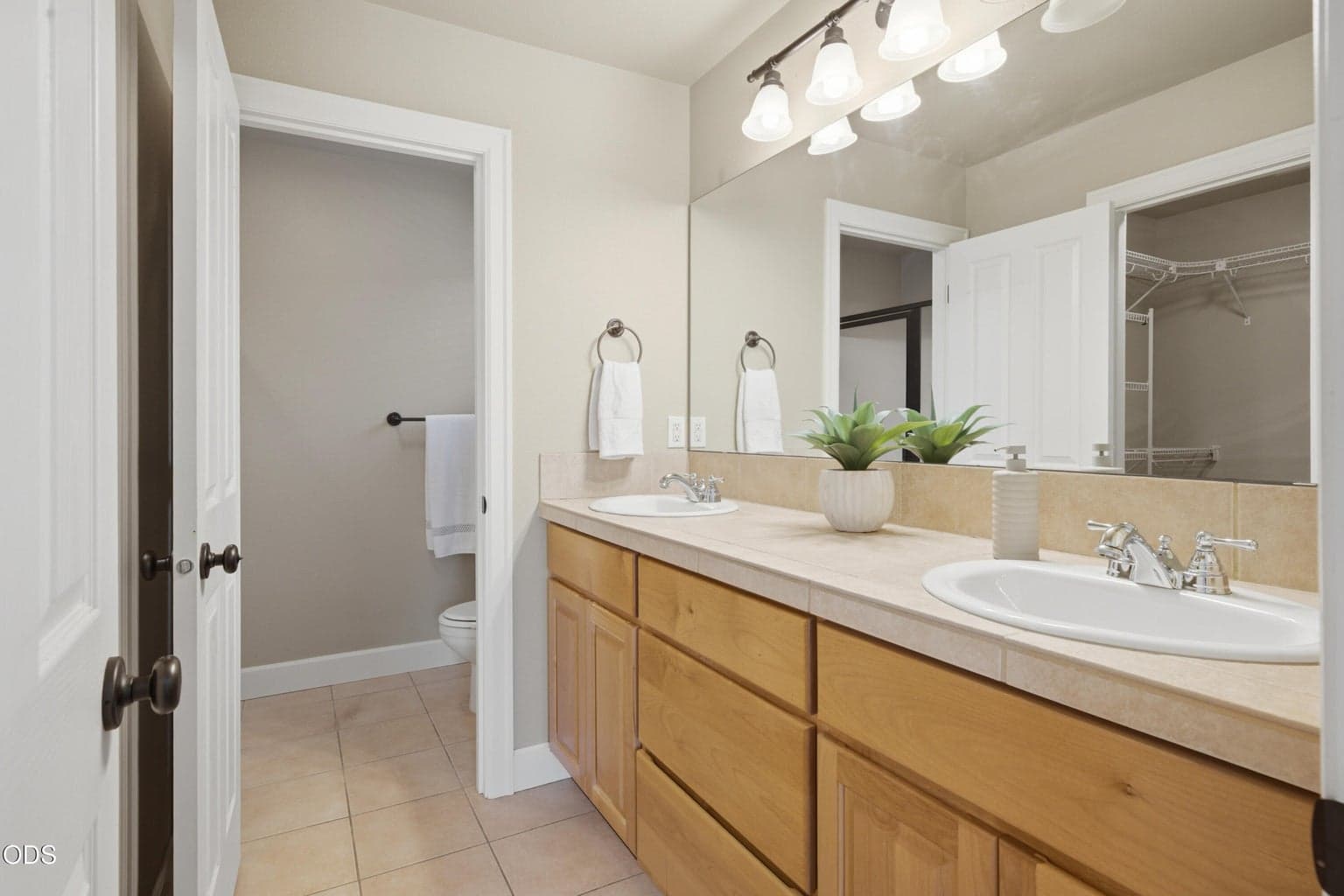 Master Bath Separate Shower/Toilet
