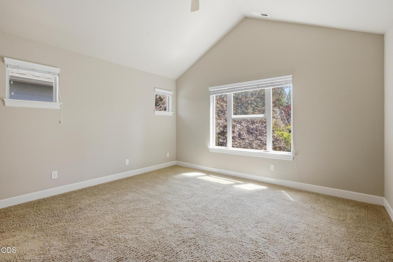 Master vaulted Ceiling