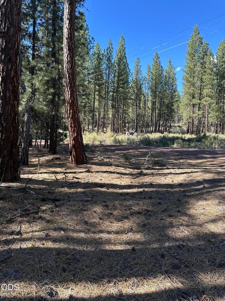 Land