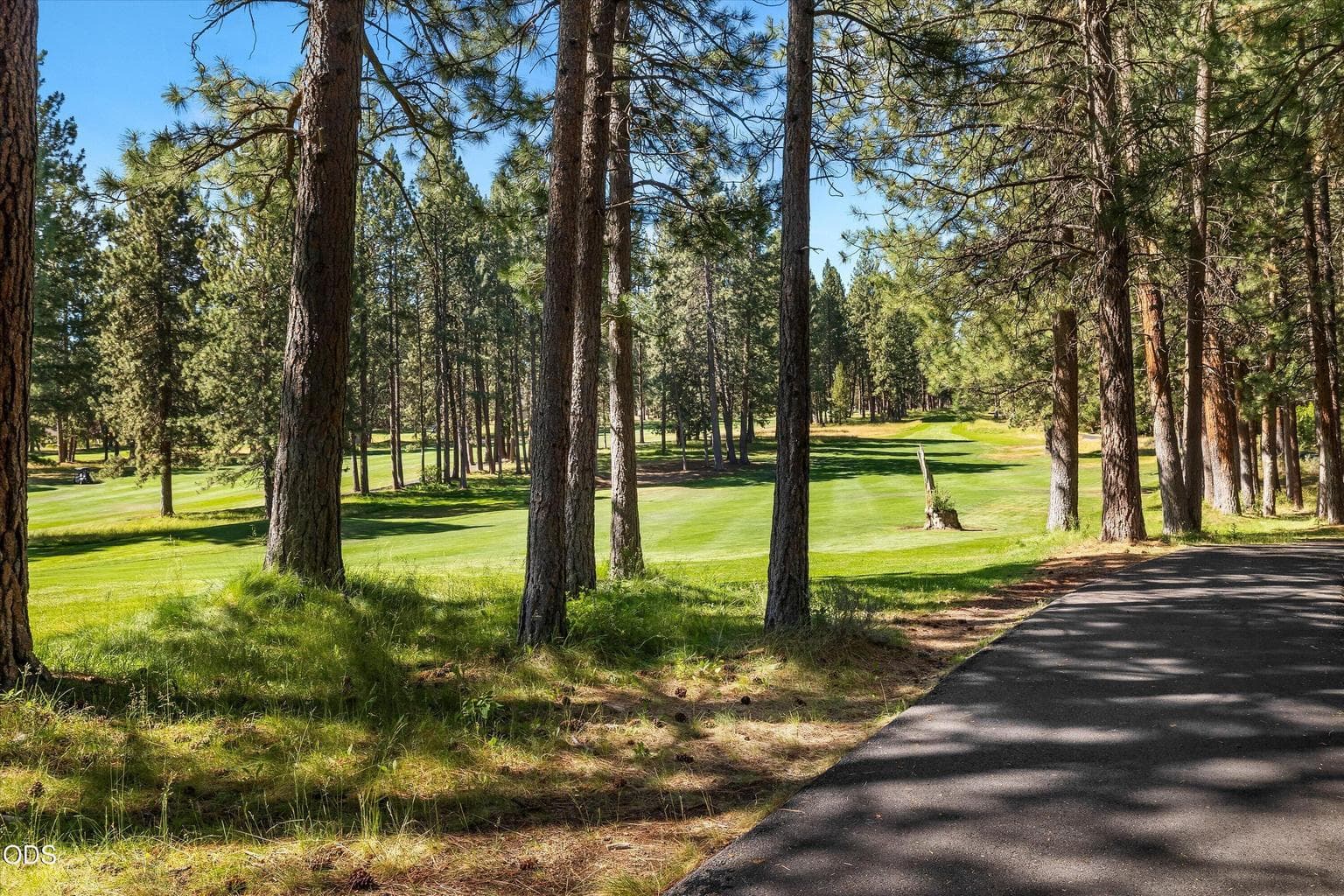 Photo of 60726 Golf Village Loop 42 of 62