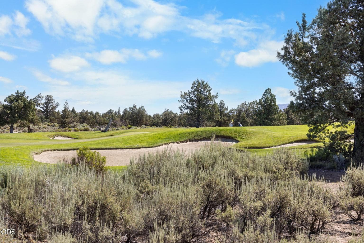Photo of 66000 Pronghorn Estates 5 of 15