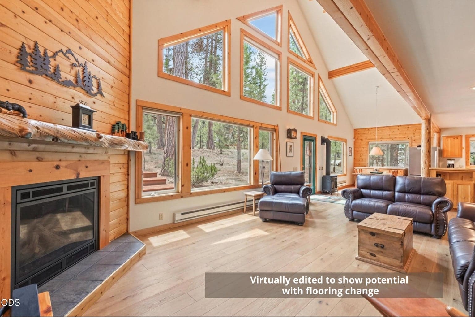 Virtually Edited Living Room