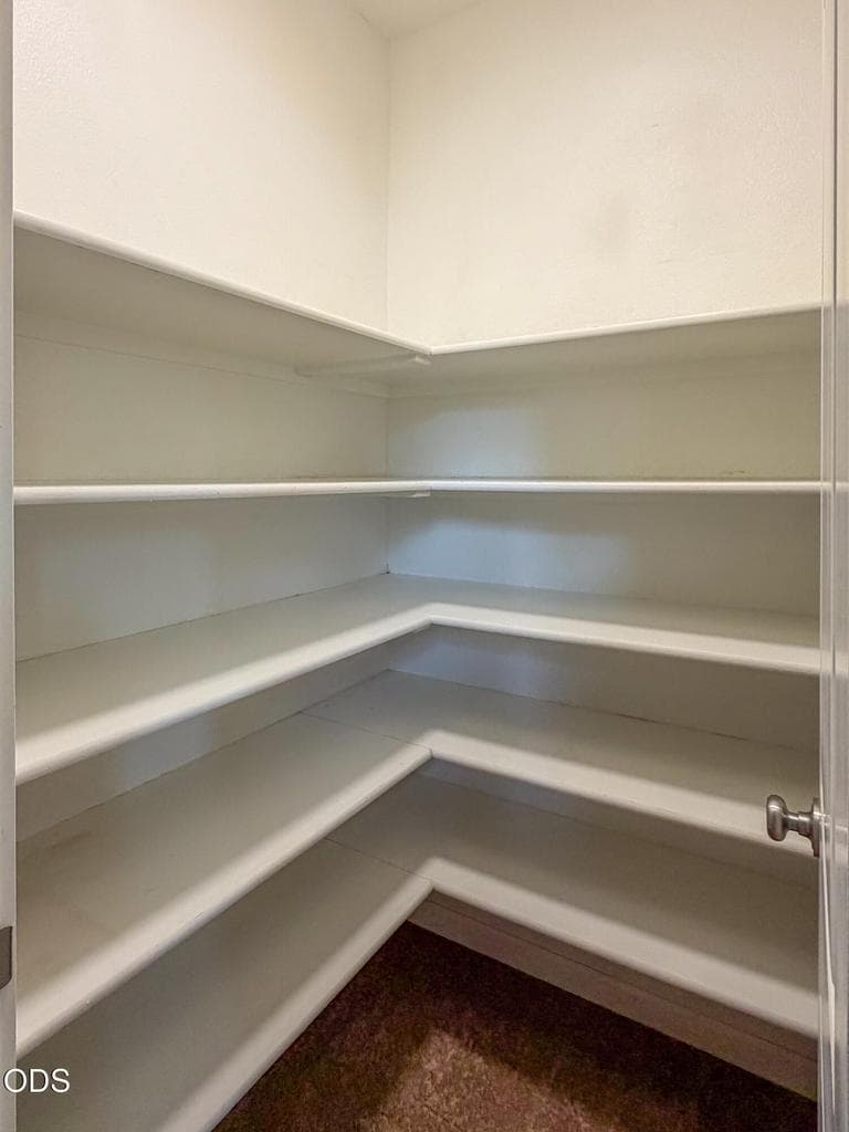 Convenient large pantry with lost of storage