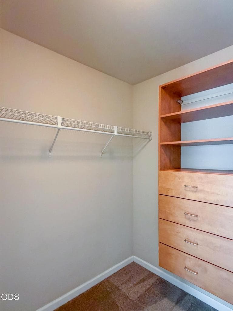 Large walk-in closet with many built-in storage features