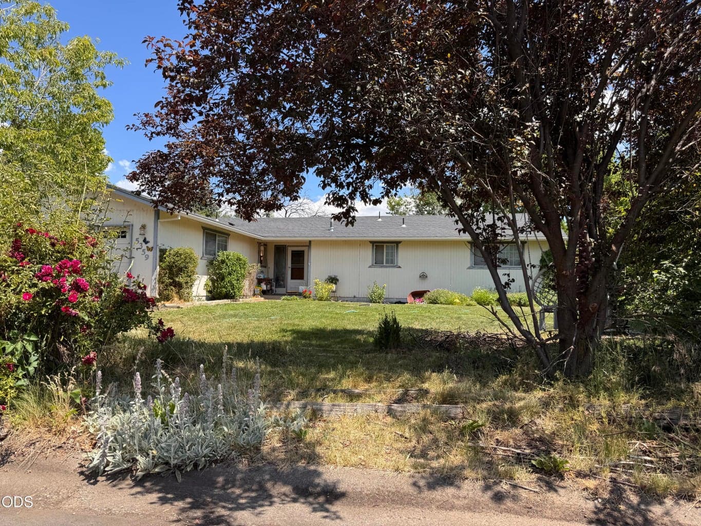 Photo of 5359 Eastwood 1 of 20