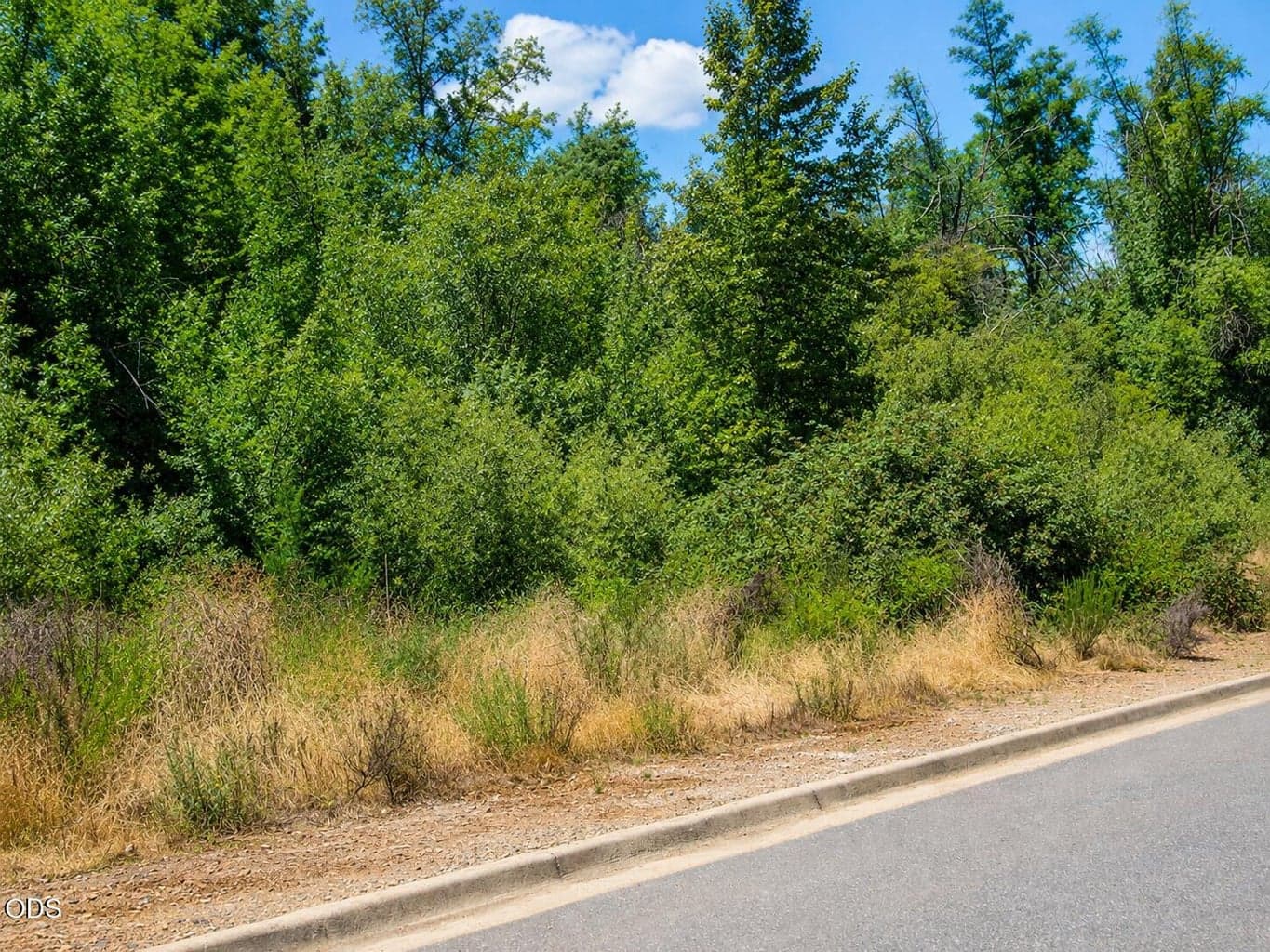Lot Frontage