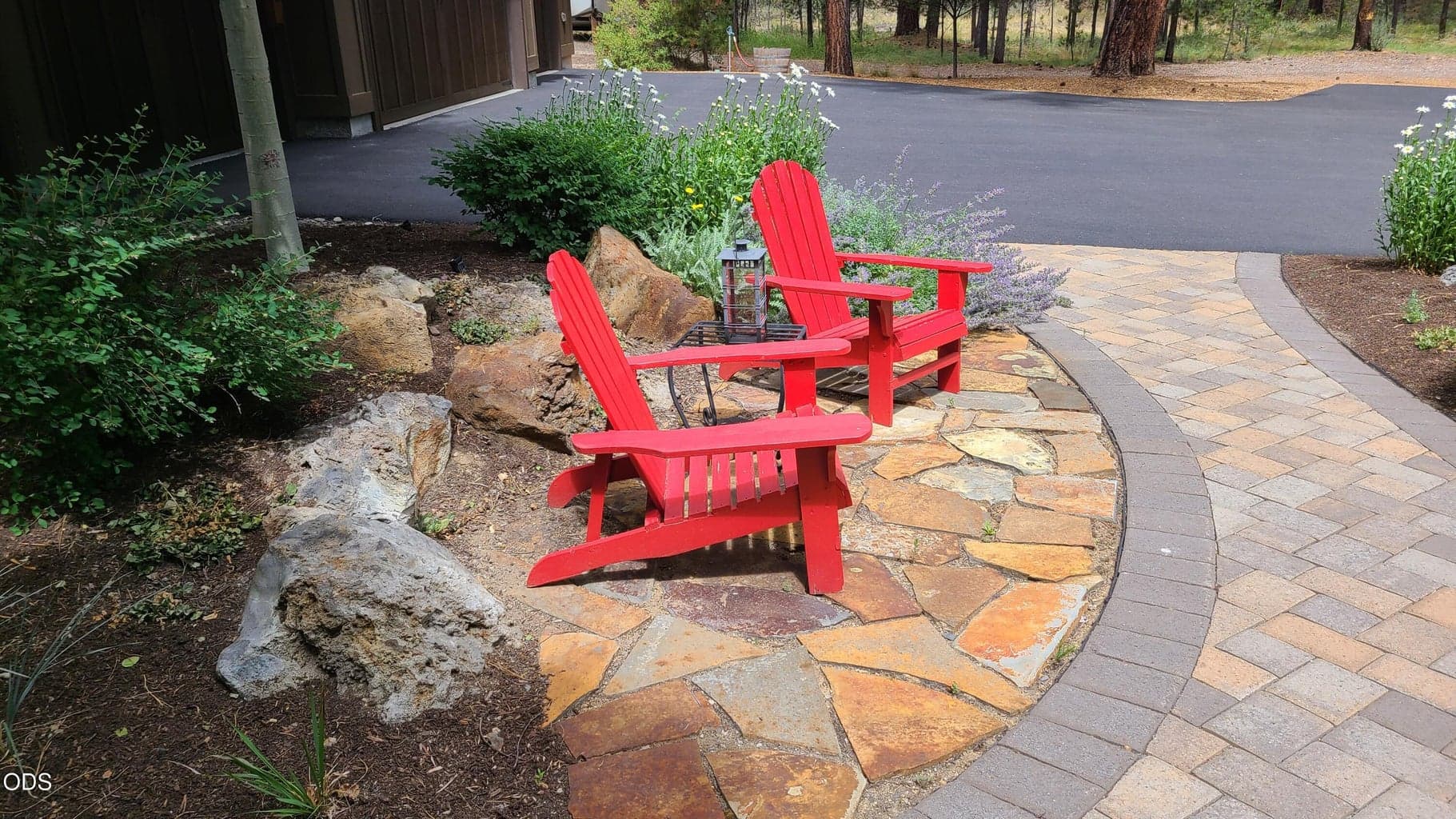 Photo of 54937 Forest 5 of 62