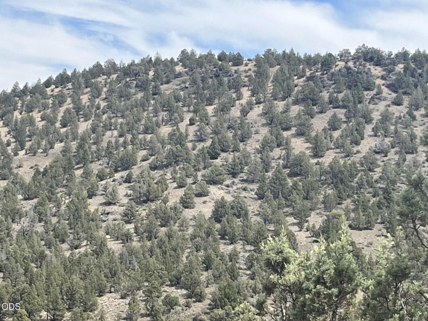 Photo of TL 1314 Blackbutte Way 5 of 9